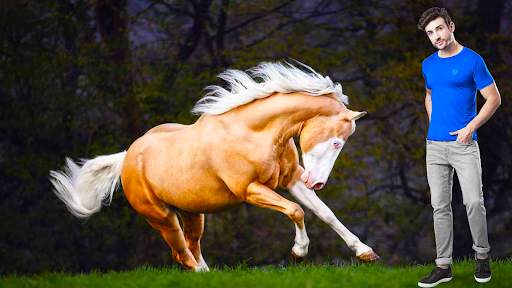 Horse Photo Editor Pic Frames 4 تصوير الشاشة