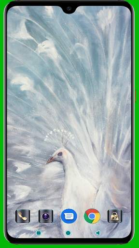 Peacock HD Wallpaper screenshot 6
