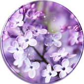 Lilac Lavender Theme Purple icon