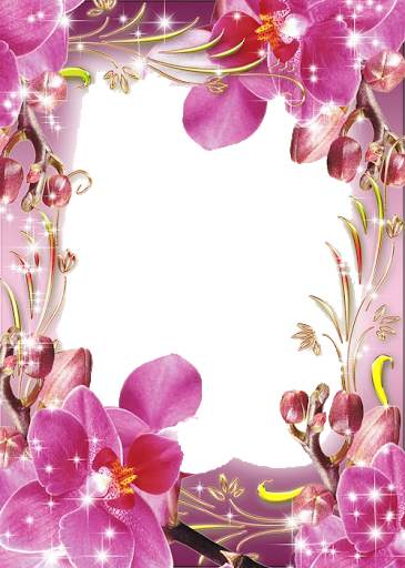 Flowers Photo Frames HD screenshot 16