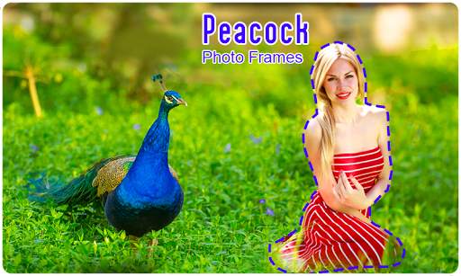 Peacock Photo Frames screenshot 4