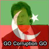 PTI Flag Face 1.3