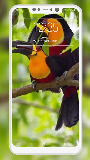 Bird Wallpaper 3 تصوير الشاشة