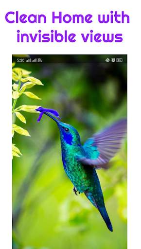 Clean Home Binary Launcher screenshot 1