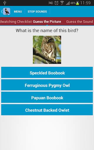 Birds of Prey Sounds Free screenshot 4