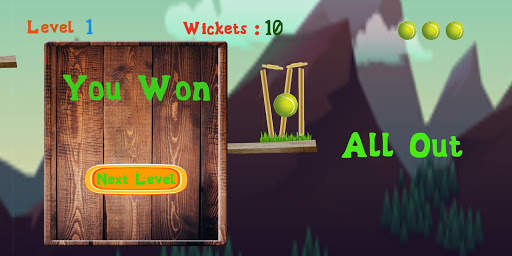 Cricket Ball : New Cricket Game screenshot 4