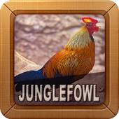Junglefowl Sounds 2.0