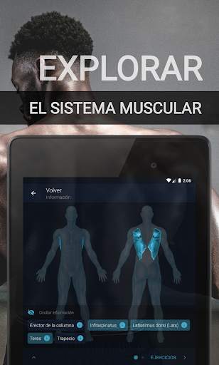 Ejercicios en Casa - Fitness y Bodybuilding screenshot 11