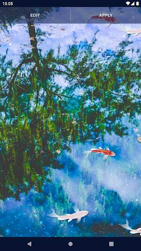 Fish 4K HD Koi Live Pond 3D screenshot 6