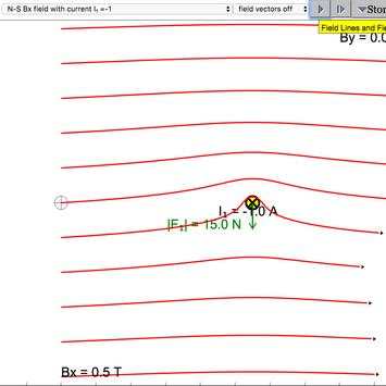 Magnetic Field of Wire(s) Sims screenshot 2