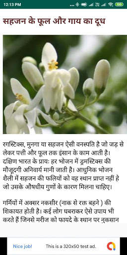 घरेलु नुस्ख़े -जड़ी बुटि/Jadi Buti & Gharelu Nushkhe screenshot 2