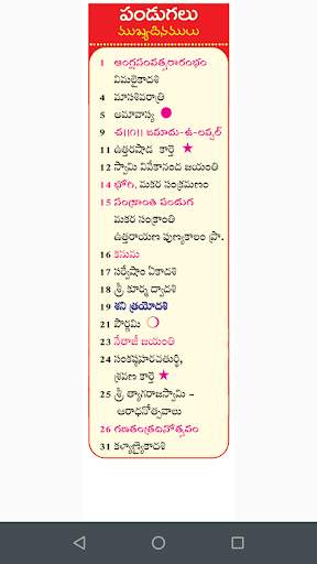 Telugu Calendar 2019 screenshot 4