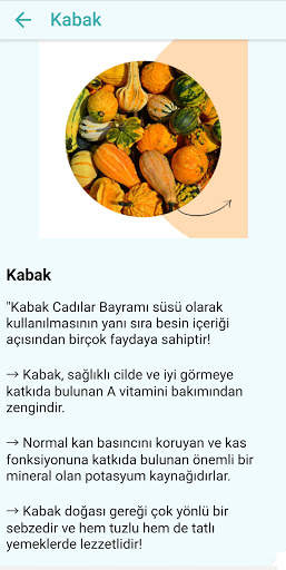 Sağlığım için besinler screenshot 7