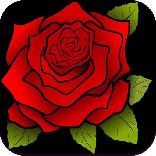 Rose Wallpaper HD 1.02