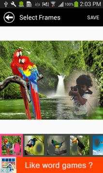Birds New 3D Photo Frames 2017 screenshot 3