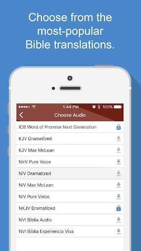 Bible Audio screenshot 2