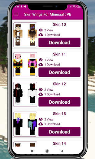 Wing Skins for minecraft pe screenshot 4