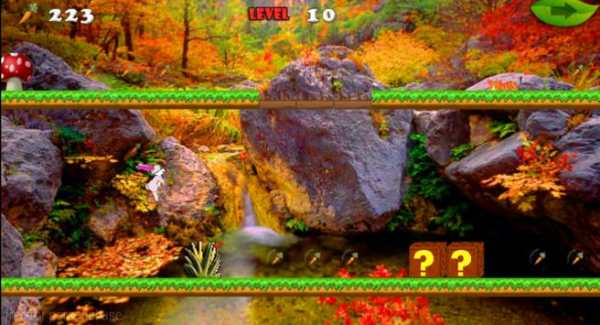 The Bunny Game-Run Run Run 2 D screenshot 5