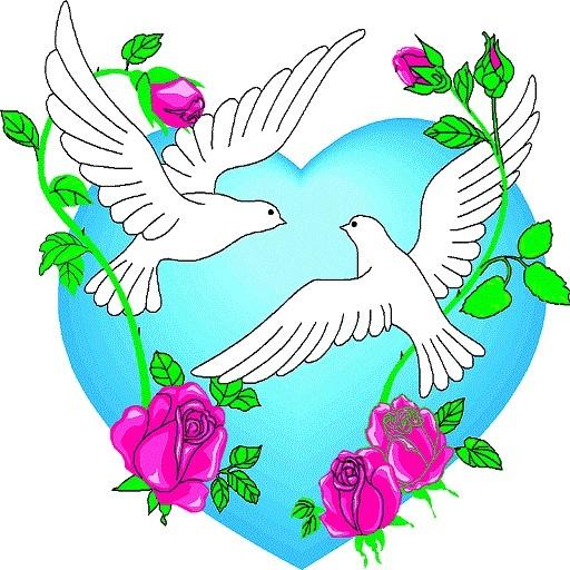 Birds sounds ringtones best आइकन