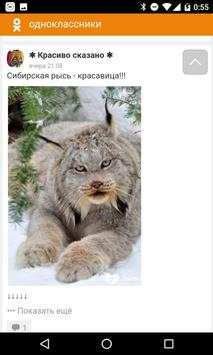 Одноклассники OK КЛАССика скриншот 2