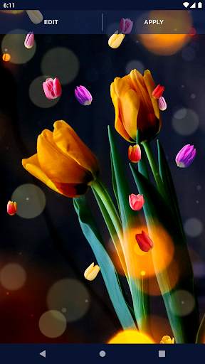 Tulip Spring 4K Wallpapers screenshot 7