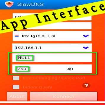 Guide for VPN Over DNS Tunnel : SlowDNS screenshot 12