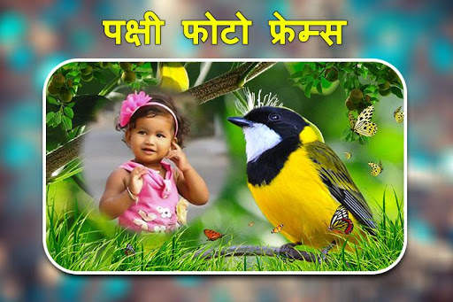 पक्षी फोटो फ्रेम्स। स्क्रीनशॉट 4