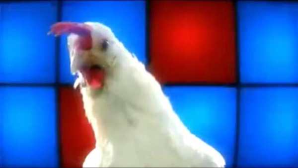 Chicken screenshot 1