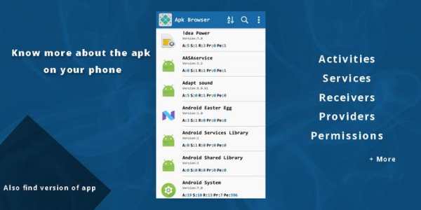APK Info : App Details screenshot 1