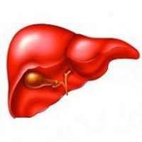 Hepatology & Diseases on 9Apps