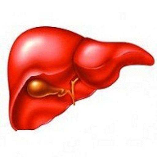 Hepatology & Diseases 1.0.2.AZ