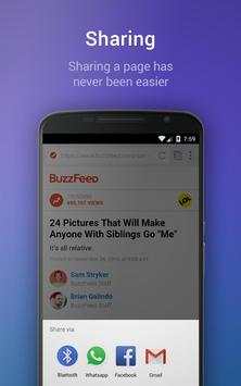 Internet Browser screenshot 3
