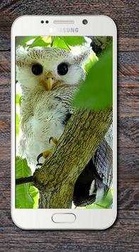 Bird Wallpaper HD screenshot 4