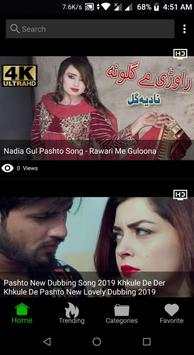 Pashto Song screenshot 1