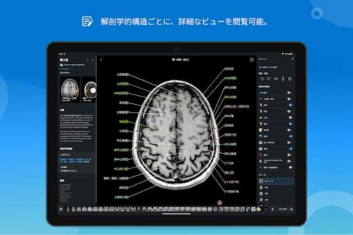 e-Anatomy screenshot 13