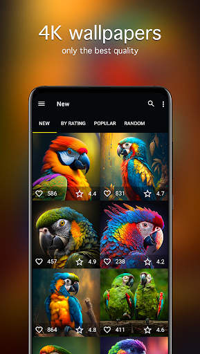 Parrot Wallpapers 4K screenshot 2