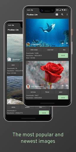 Pixabay Lite (quick wallpaper) screenshot 5