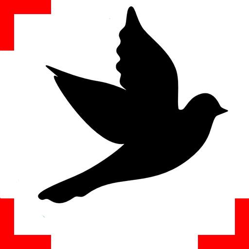 Bird finder: bird identification, bird wallpaper 1.21.06.24