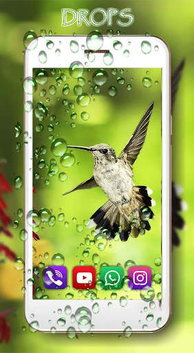 Colibri Free LWP screenshot 2