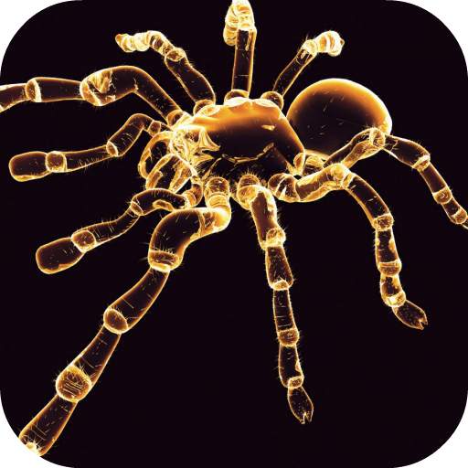 Neon Spider Live Wallpaper 1.0
