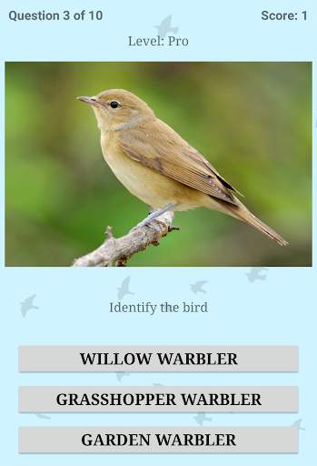 British Birds ID Quiz Pro screenshot 13