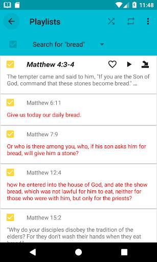 Biblia Audio screenshot 5