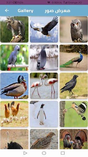 Animal world screenshot 3