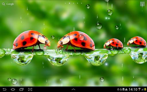 Rain Live Wallpaper screenshot 12