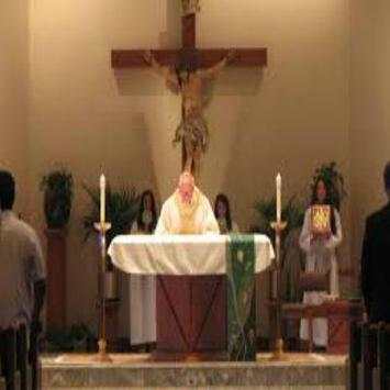 Catholic Daily Mass Readings screenshot 2