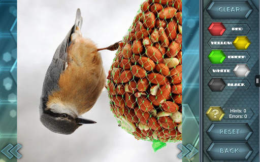 HexLogic - Birds screenshot 8