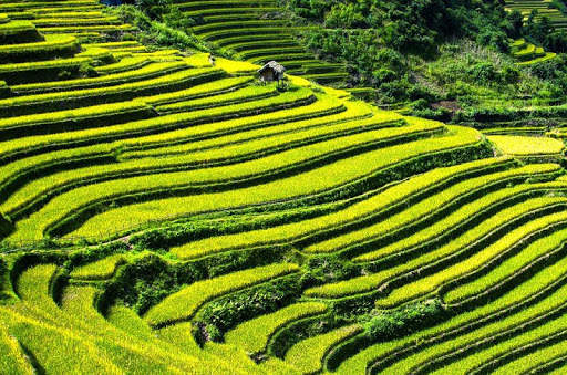 Vietnam Wallpaper Travel screenshot 10
