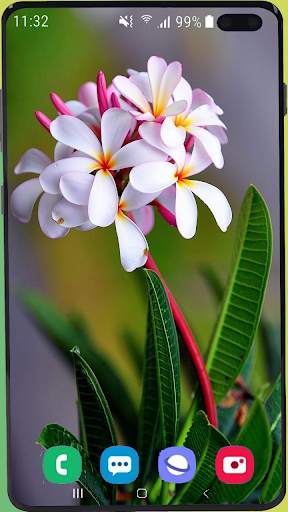 Flowers Wallpaper Best HD screenshot 11