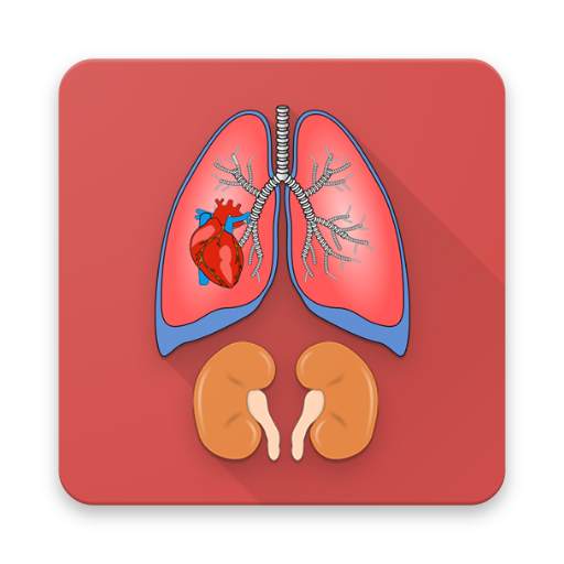 Human Anatomy [Offline] 3.0.1