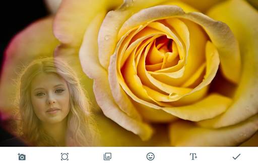 Macro Rose Photo Frames screenshot 1